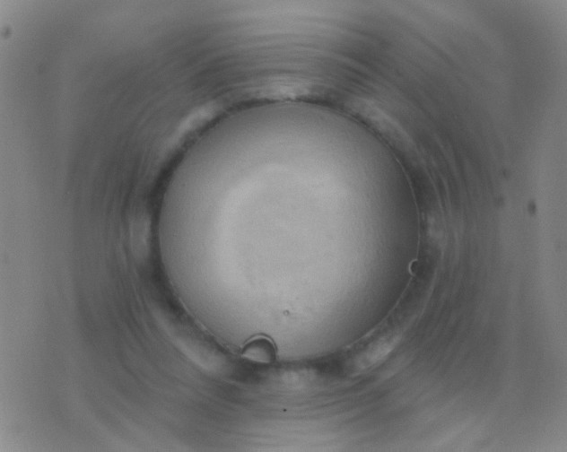 X0000076380304200610202046