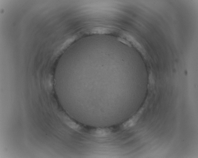 X0000076380305200610202046