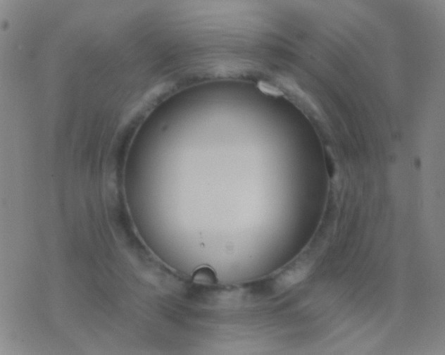 X0000076380306200610202046