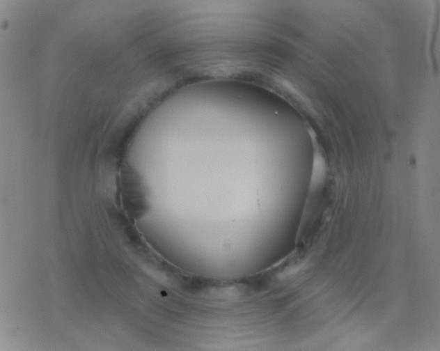 X0000076380307200610202046