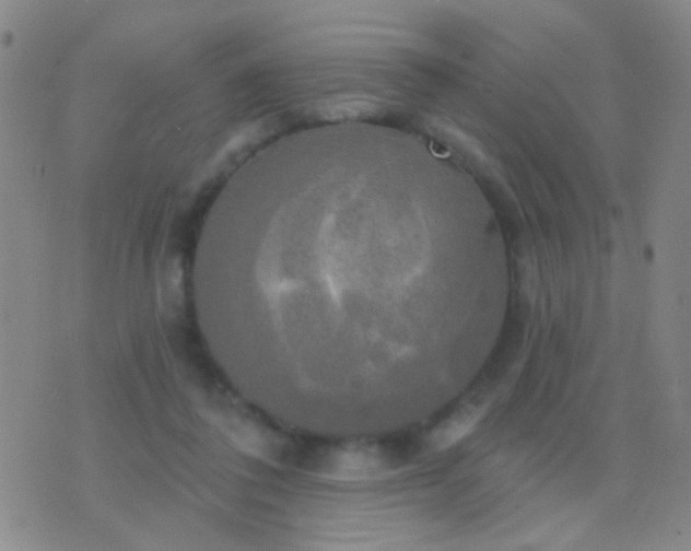 X0000076380308200610202046