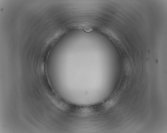 X0000076380310200610202046