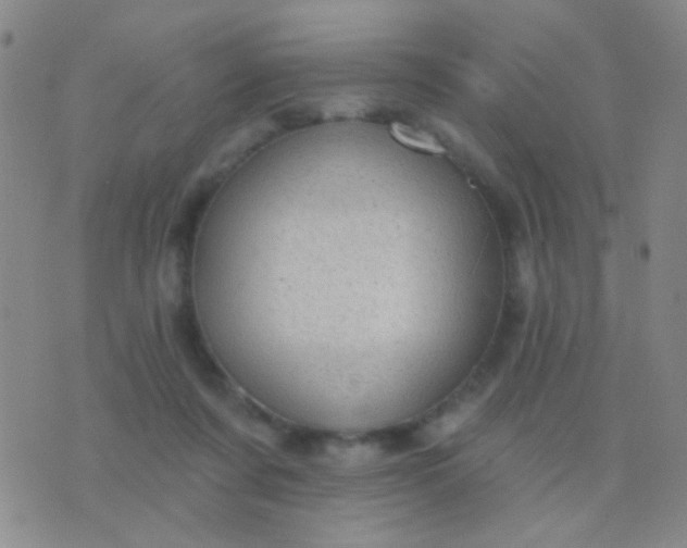 X0000076380311200610202046