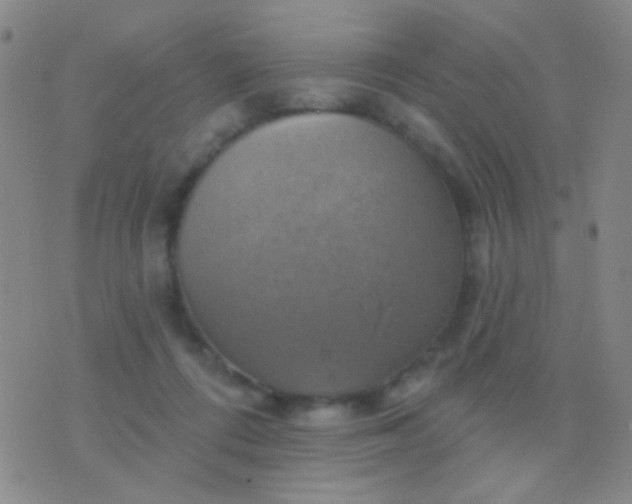 X0000076380312200610202046