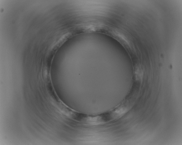 X0000076380314200610202046