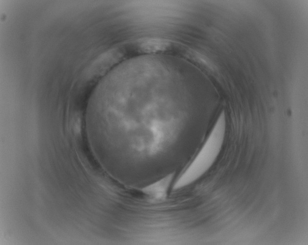 X0000076380315200610202046