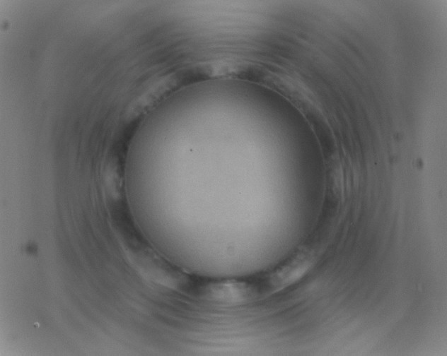 X0000076380316200610202046