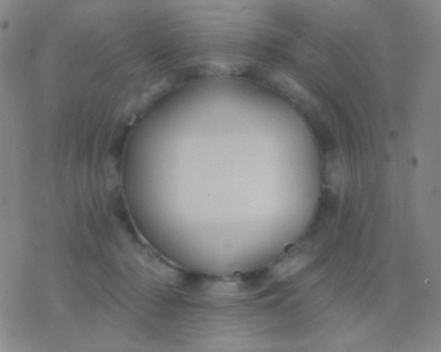 X0000076380318200610202046