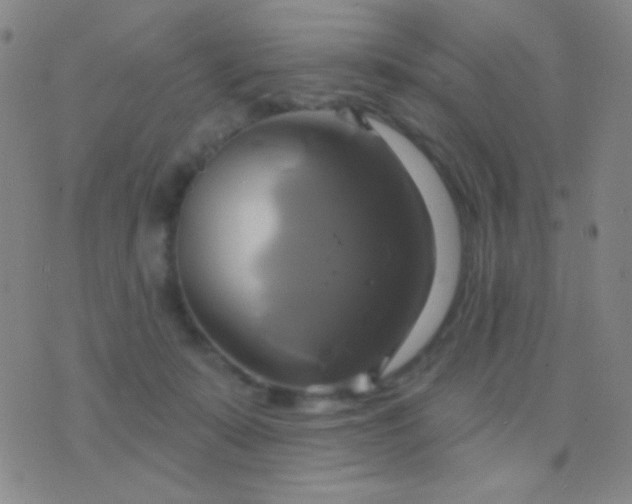 X0000076380319200610202046