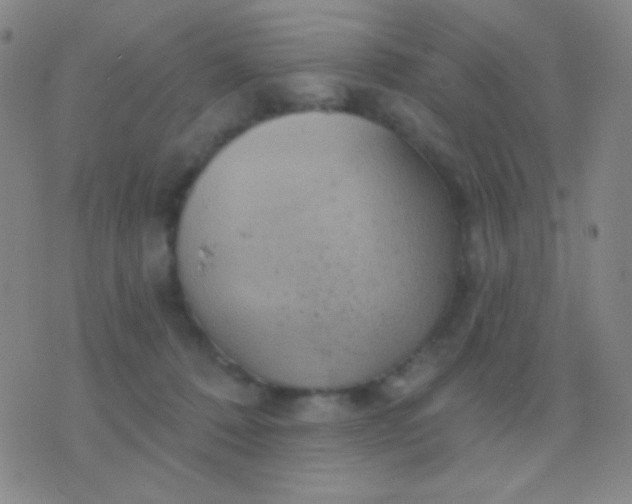 X0000076380320200610202046