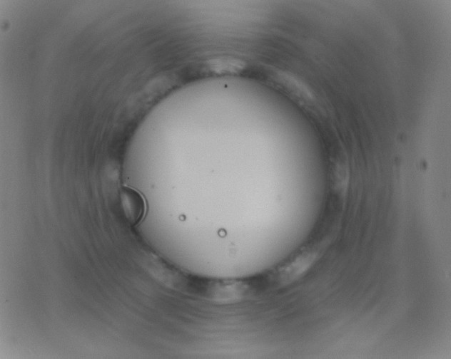 X0000076380321200610202046