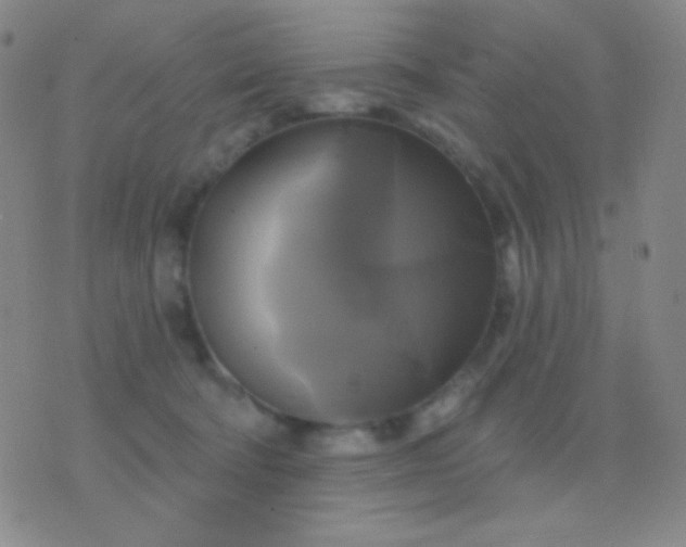 X0000076380322200610202046