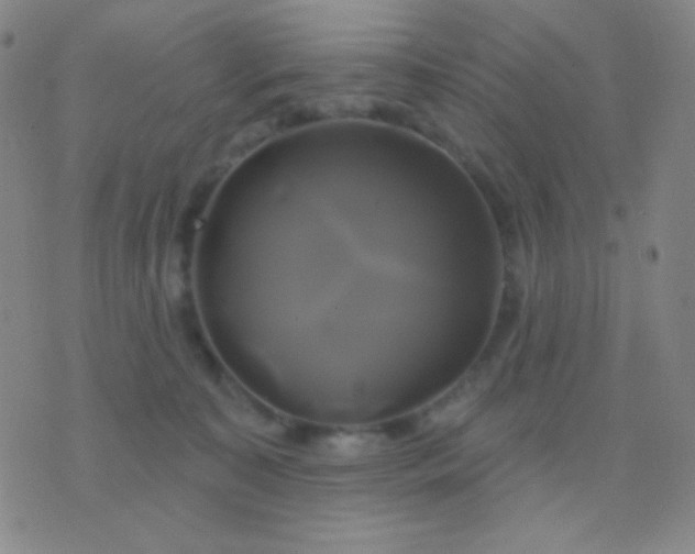 X0000076380323200610202046