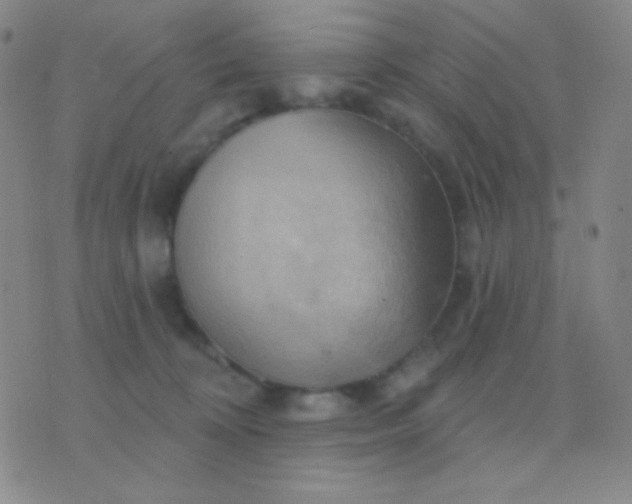 X0000076380324200610202046