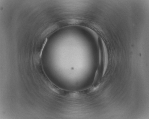 X0000076380325200610202045