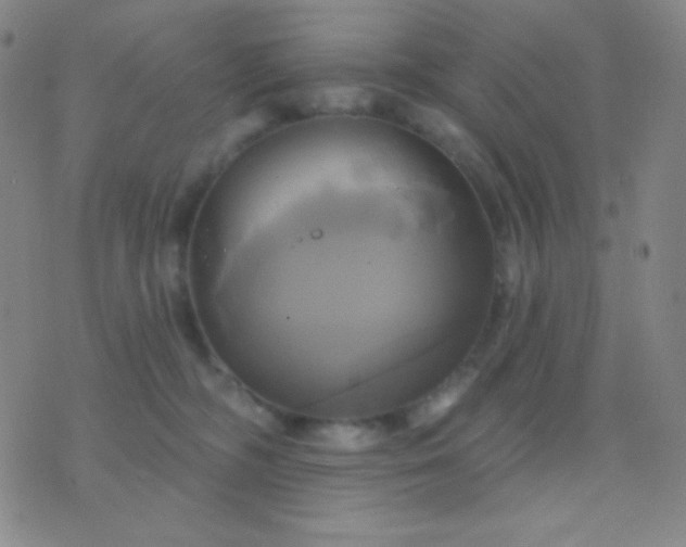 X0000076380326200610202045