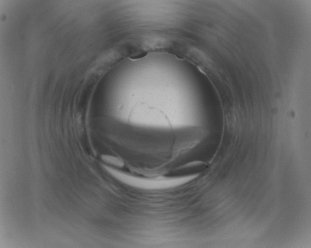 X0000076380327200610202045