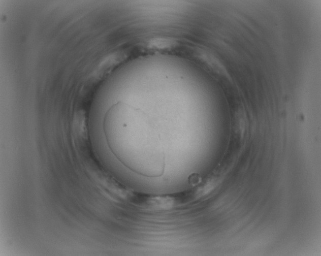 X0000076380328200610202045