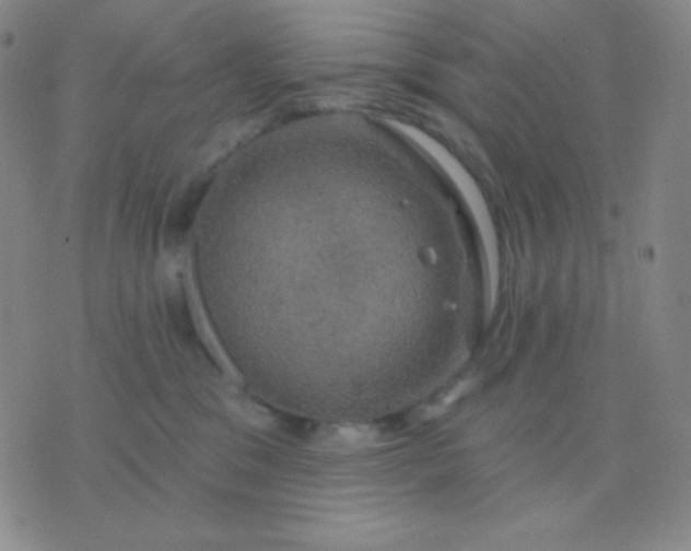 X0000076380329200610202045