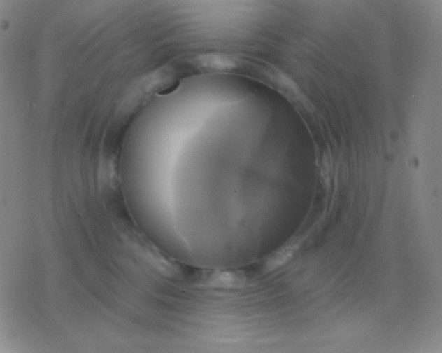 X0000076380330200610202045