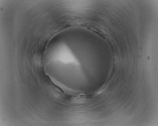 X0000076380331200610202045