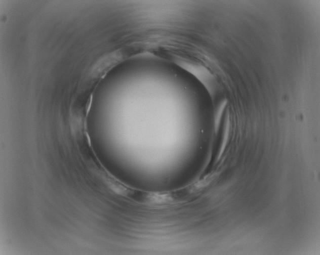 X0000076380333200610202045