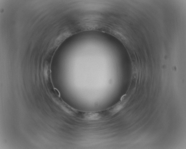 X0000076380334200610202045