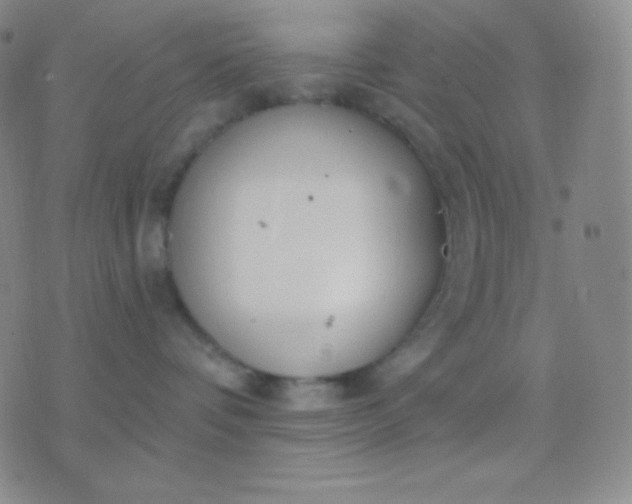 X0000076380336200610202045