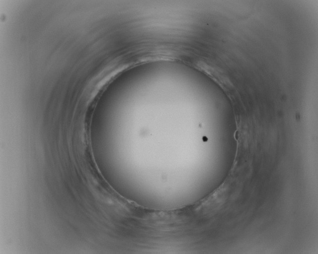 X0000076380338200610202045