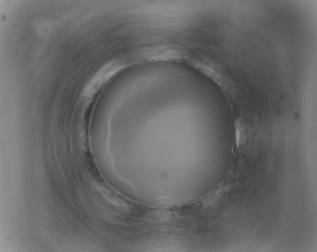 X0000076380339200610202045