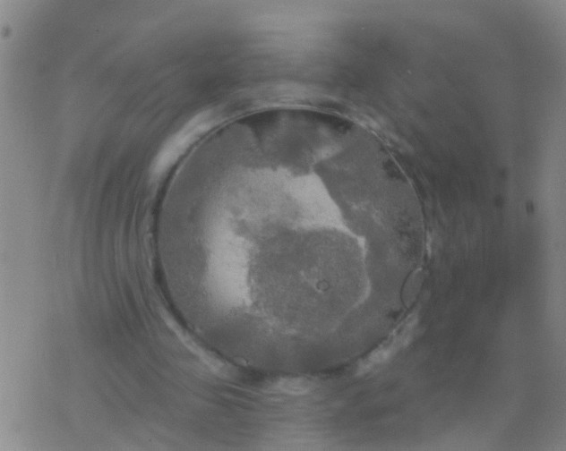 X0000076380341200610202045