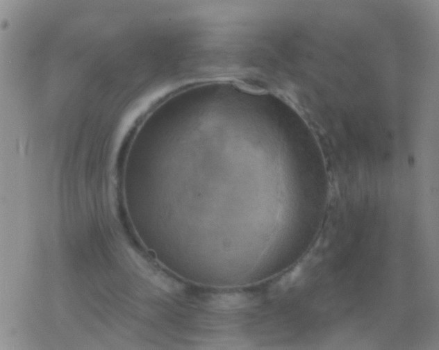 X0000076380342200610202045