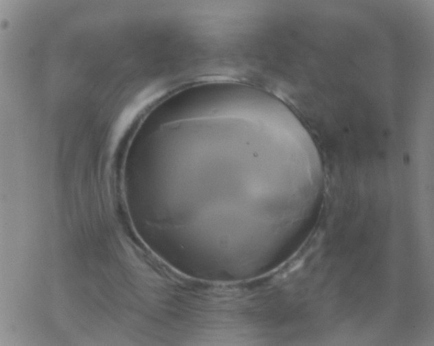 X0000076380343200610202045