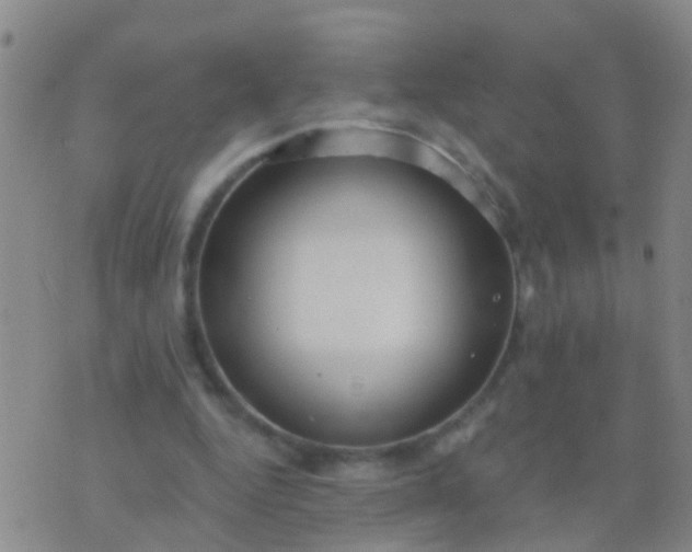 X0000076380344200610202045