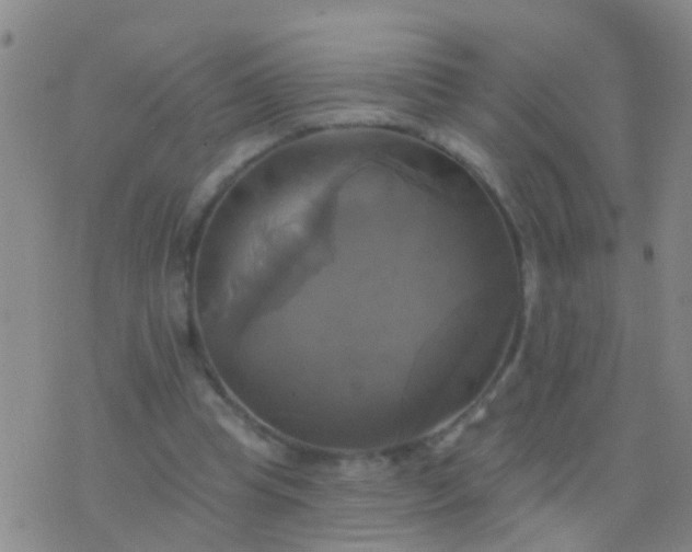 X0000076380345200610202045