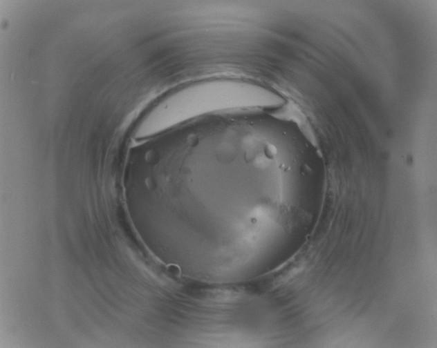 X0000076380347200610202045