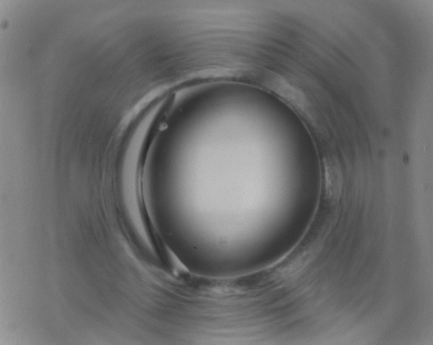 X0000076380348200610202045