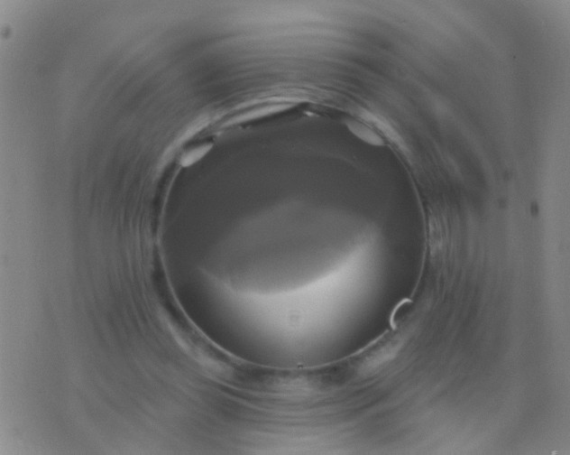 X0000076380349200610202045