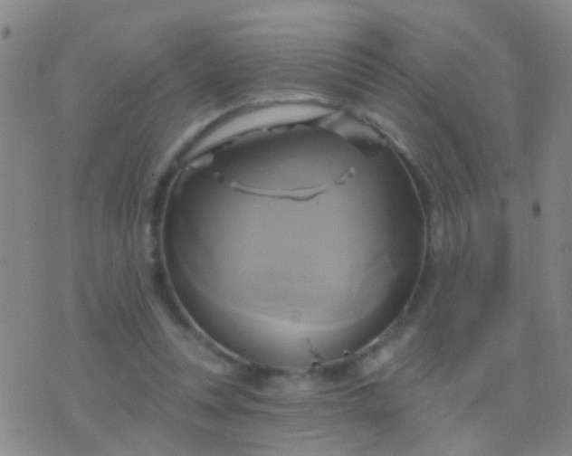 X0000076380351200610202045