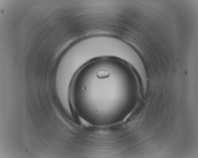 X0000076380352200610202045