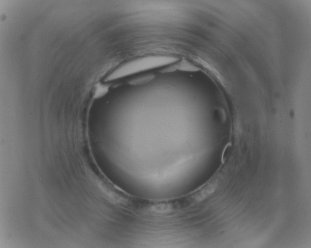 X0000076380353200610202045