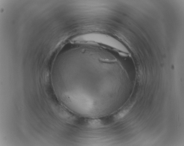 X0000076380355200610202045