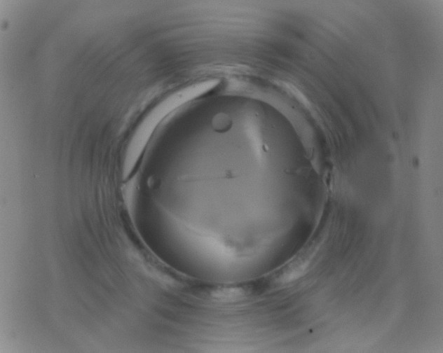 X0000076380357200610202045