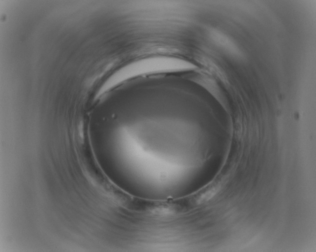 X0000076380358200610202045