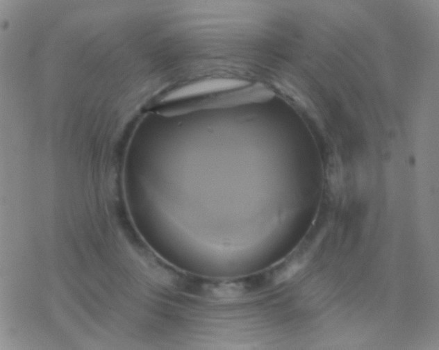 X0000076380359200610202045