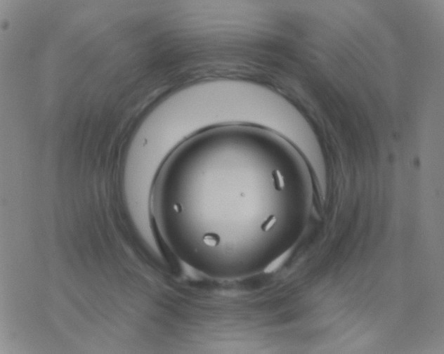 X0000076380360200610202045