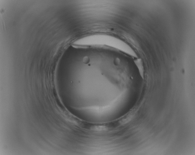 X0000076380361200610202045