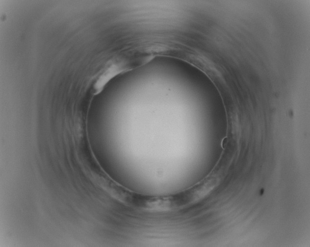 X0000076380362200610202045