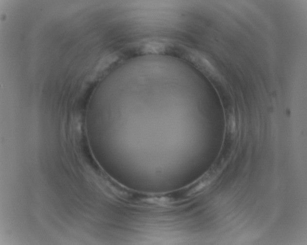 X0000076380363200610202045