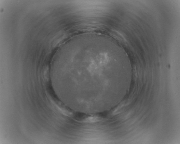 X0000076380364200610202045